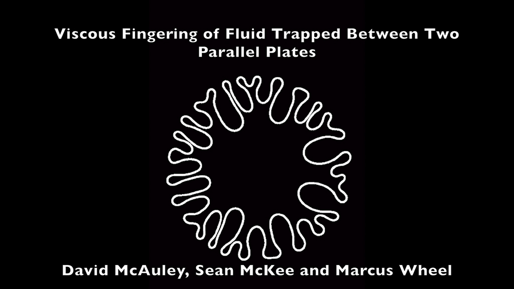Viscous fingering of fluid trapped between two parallel plates's image