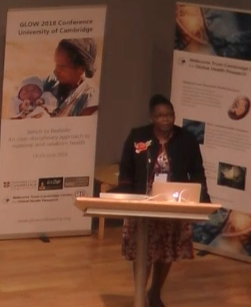 Maternal health research in basic science in Africa 's image