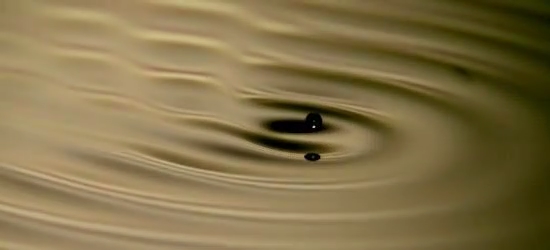 05 Walker: a droplet is surfing on a vibrating liquid bath by Naresh Sampara (Nottingham)'s image