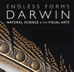 11. Darwin, Design and Christianity: With Professor John Brooke's image