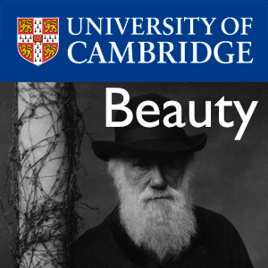 Beauty – Darwin College Lecture Series 2011's image
